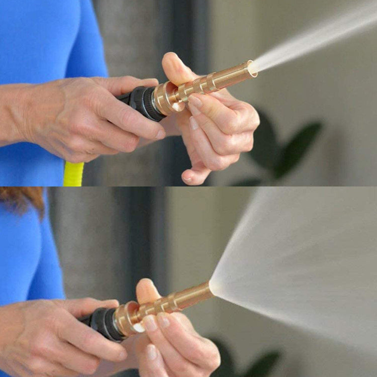 Stainless Steel Garden Hose With Brass